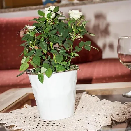 Apartament Haus Bott