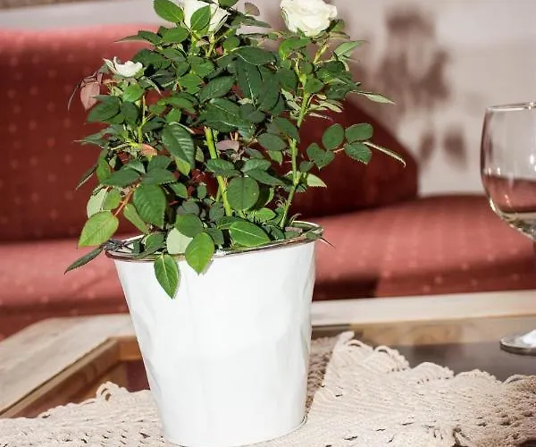 Apartamento Haus Bott